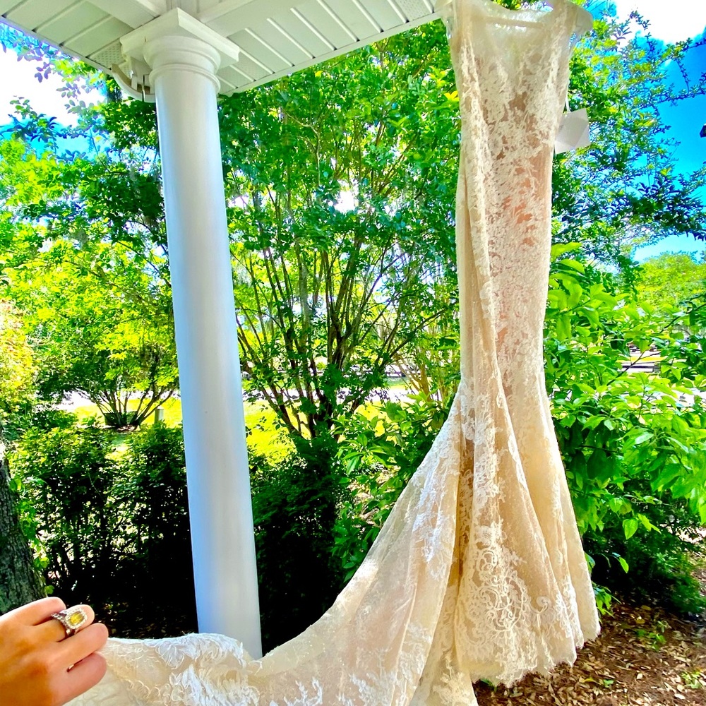 Wedding dress and veil